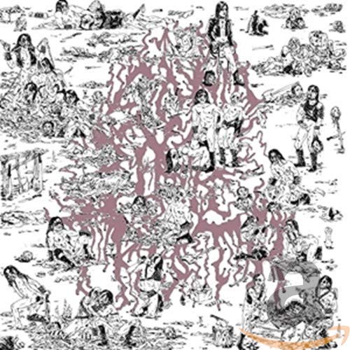 The Soft Pink Truth - Why Do Heathen Rage? [CD]