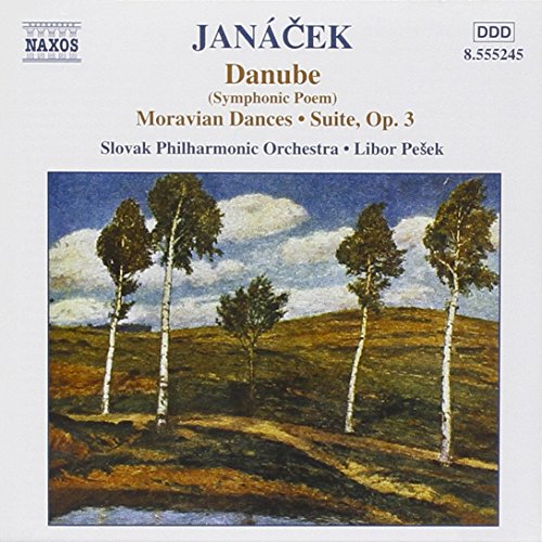 "Album cover with painting of birch trees on a hill under a blue sky."