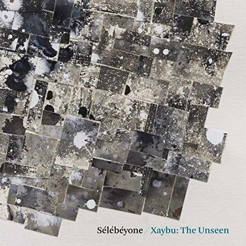 Steve Lehman & Selebeyone - Xaybu: The Unseen [VINYL]