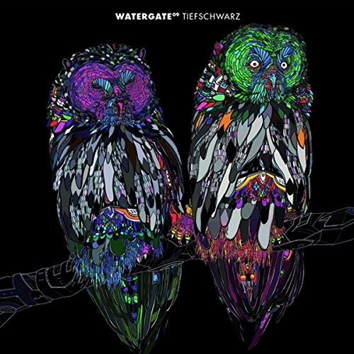 Album cover featuring two owls with abstract, multicolored patterns on a black background.