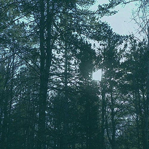 Ashbringer - VACANT  [VINYL]