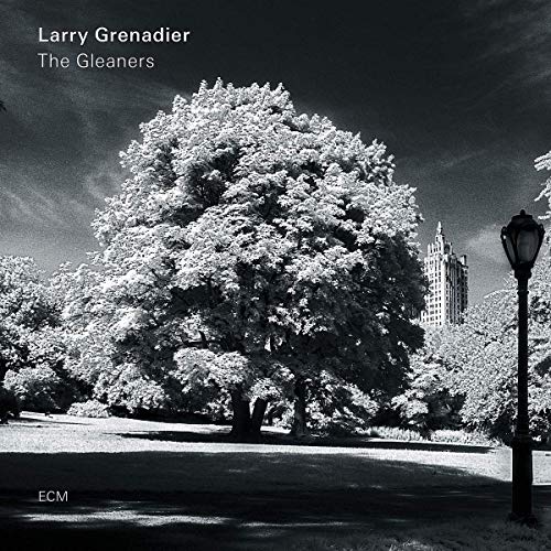 Black and white album cover with a tree and street lamp.