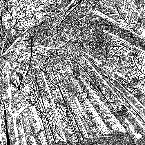 The image depicts a black-and-white illustration of trees with thin trunks and branches. Alt text: Black and white illustration of trees with thin trunks and branches.