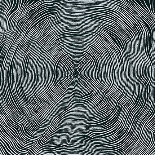 The image depicts a black and white vinyl record with a spiral groove pattern. Alt text: Black vinyl record with white spiral grooves.