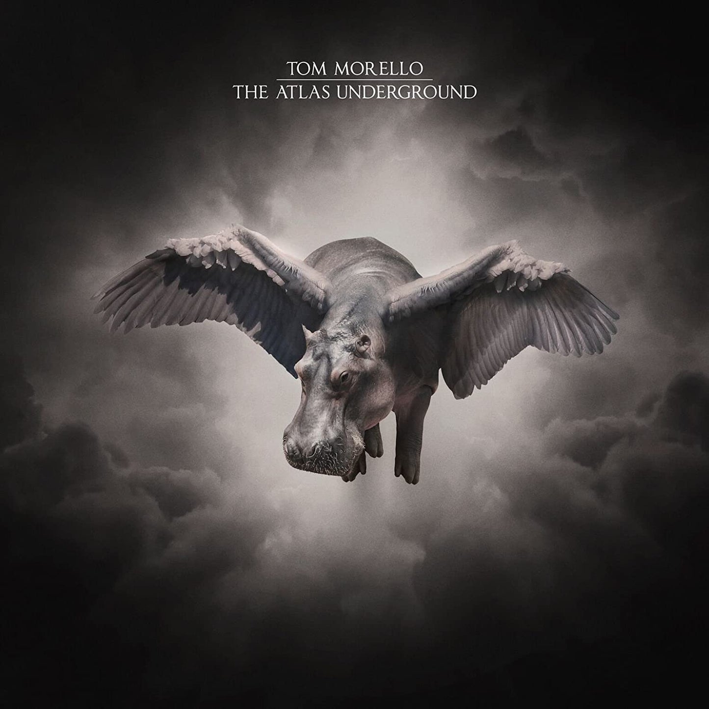 "Album cover featuring a hippo with wings flying through cloudy sky, monochromatic tones."