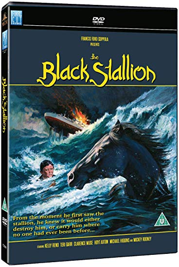 "The Black Stallion DVD case featuring a man and horse in turbulent ocean waters."