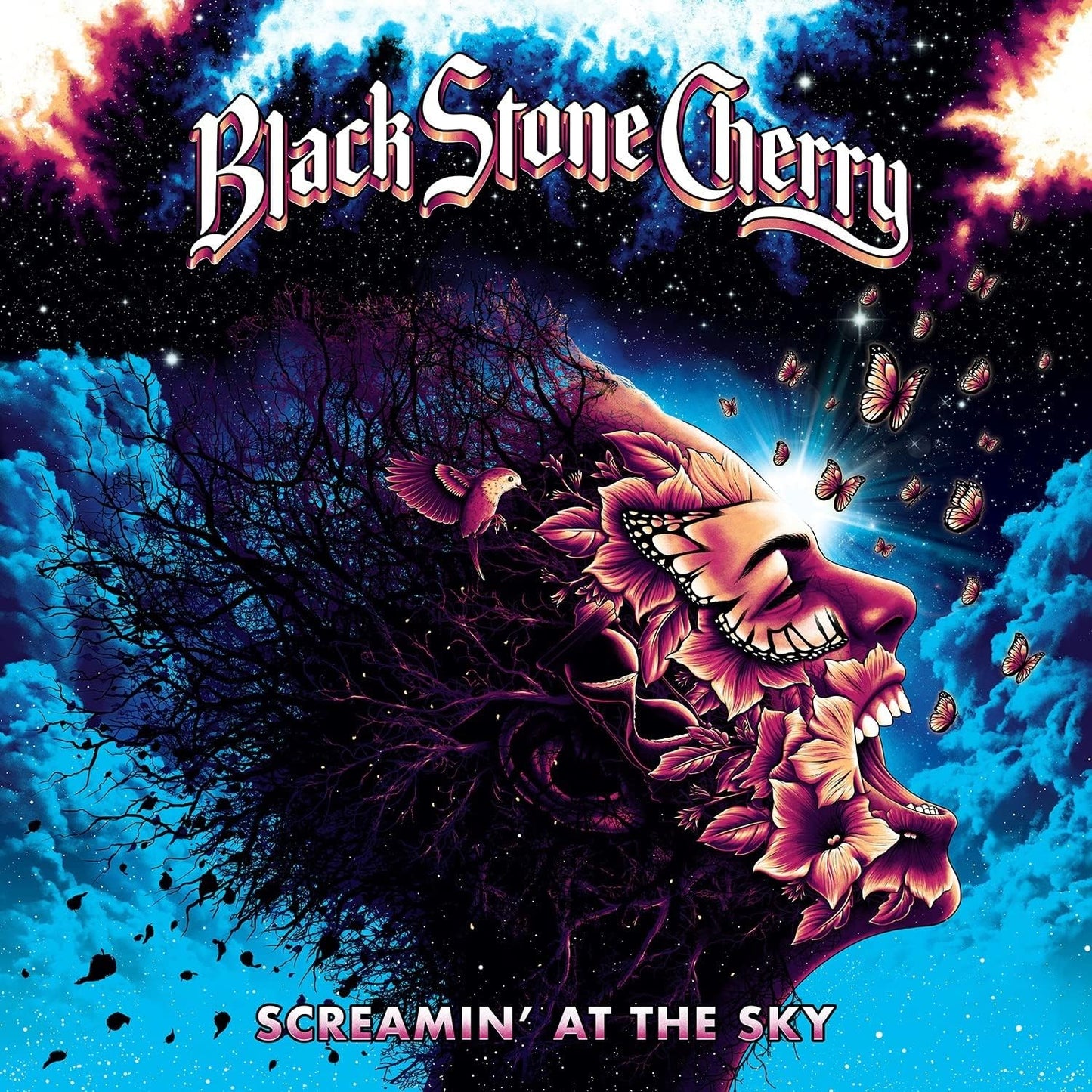 Black Stone Cherry - Black Stone Cherry - Screamin' At The Sky [cd] [CD]