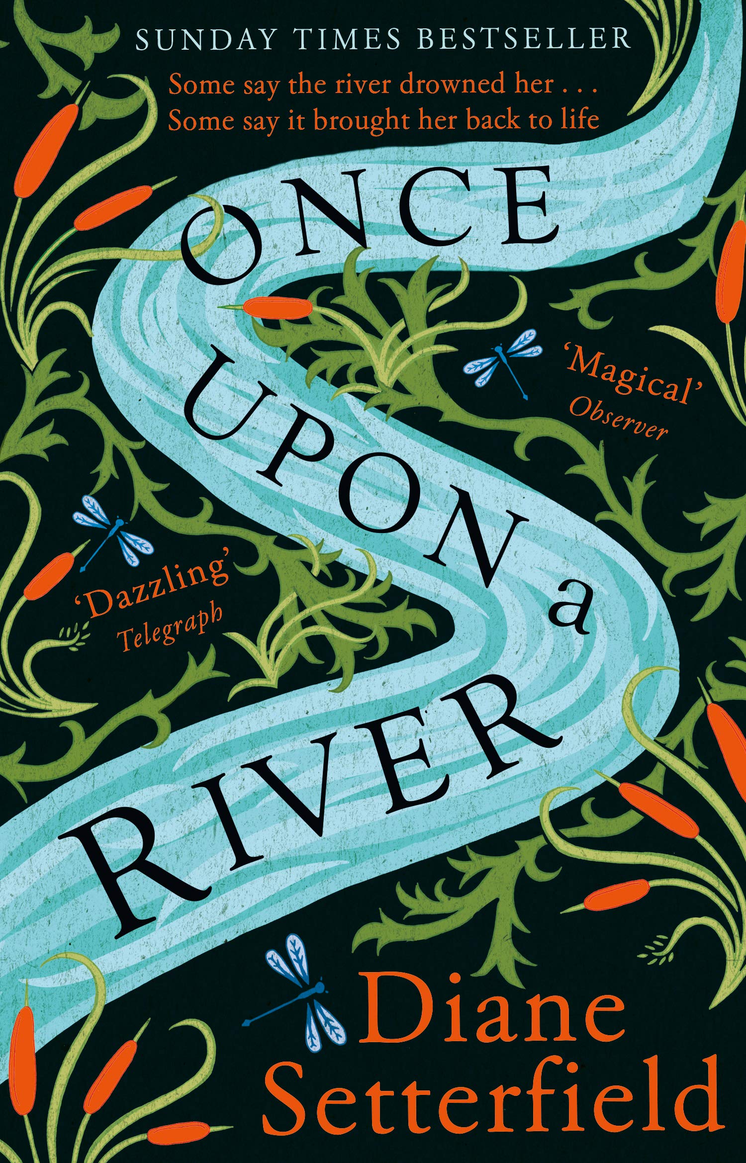 "Book cover with a winding river, dragonflies, and foliage on a black background."
