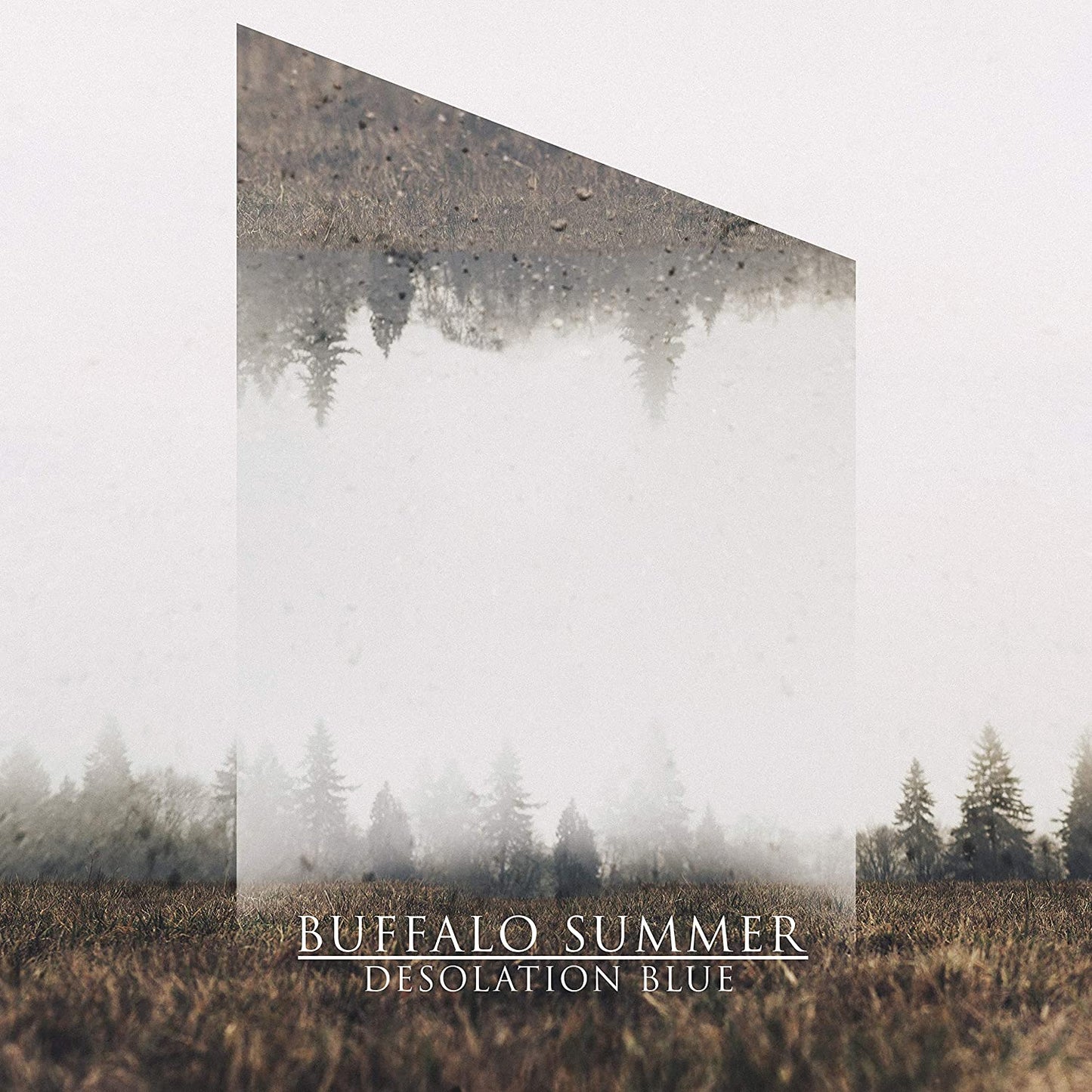 "Album cover with foggy landscape and transparent rectangle, 'Buffalo Summer - Desolation Blue' text."