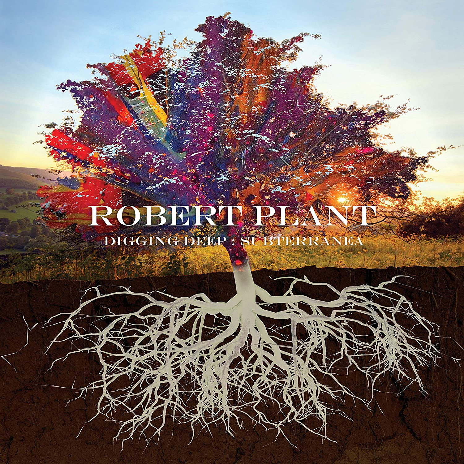 "Album cover featuring a tree with exposed white roots and multicolored leaves."