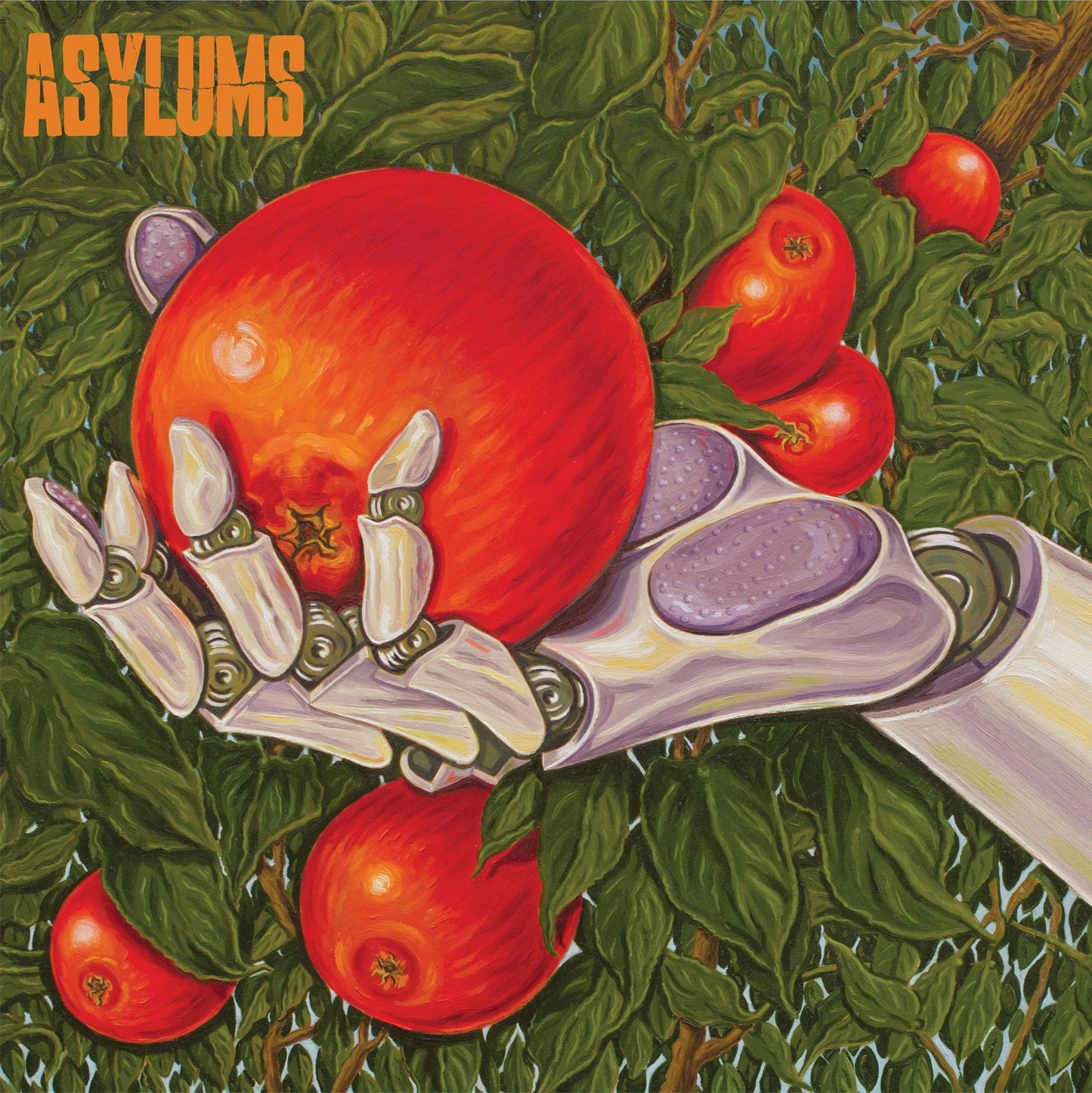 Asylums - Signs Of Life [CD]